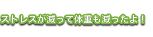 コルチゾールの抑制がストレス太りしない鍵になる